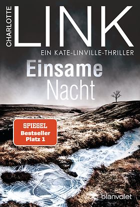 Cover: Einsame Nacht