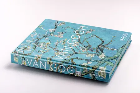 Buch liegend