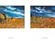 Vlaminck_Seite_172_173