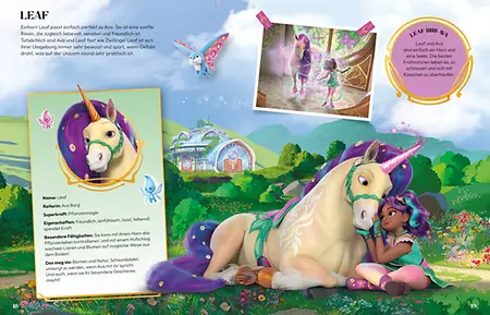 Fanbuch Innenseite 3