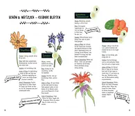 Aus dem Buch, Seite 14-15