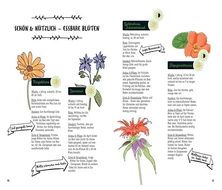 Aus dem Buch, Seite 14-15