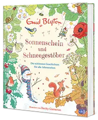 3DCover_Schneegestöber