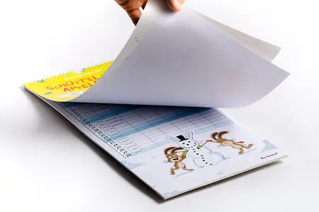 Sternbaum Apfelbaum 2026 ABK Produktfoto liegend Innenteil