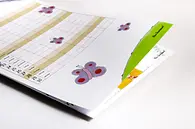 Sternbaum Apfelbaum 2026 ABK Produktfoto Detail 04