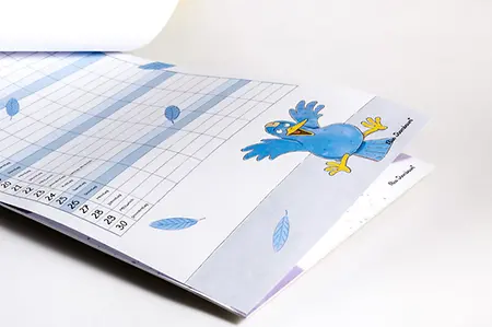 Sternbaum Apfelbaum 2026 ABK Produktfoto Detail 05