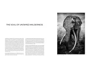 WTE_book_FINAL_20241114_Seite_1