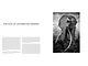 WTE_book_FINAL_20241114_Seite_1