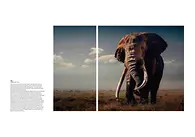 WTE_book_FINAL_20241114_Seite_2