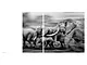 WTE_book_FINAL_20241114_Seite_3