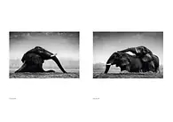 WTE_book_FINAL_20241114_Seite_5