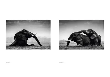 WTE_book_FINAL_20241114_Seite_5
