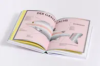 Anderson Hokkaido Produktfoto Innenteil 05 Lachs