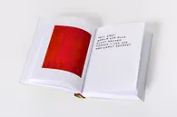 Bryan/Shrigley Art Produktfoto Innenteil 04