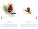 Seeds_ Cruschiform_S.50-51