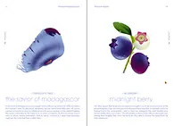 Seeds_pp.78-79
