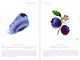 Seeds_pp.78-79