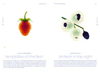 Seeds_pp.94-95