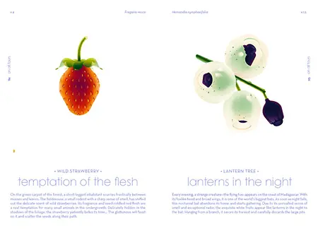 Seeds_pp.94-95