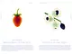 Seeds_pp.94-95