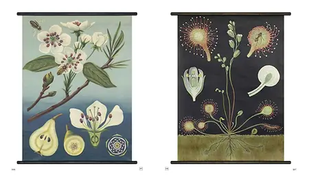 Schulkarten_SE_Innenseiten_Seite_5