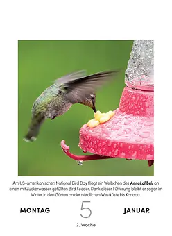 9783517103631_1.0_INH_Steffny_Vogelkalender 2026 11