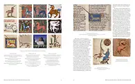 Unicorn_Spread_03