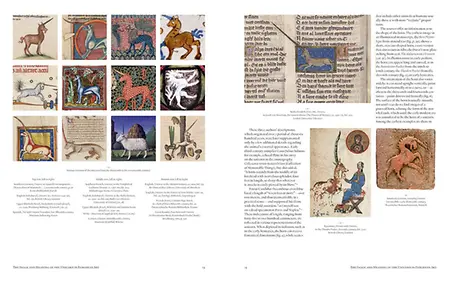 Unicorn_Spread_03
