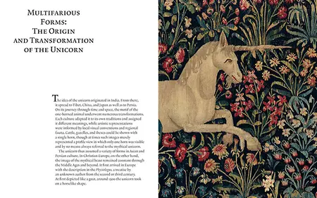 Unicorn_Spread_05