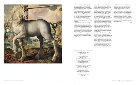 Einhorn_DS_06