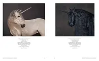 Einhorn_DS_07