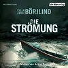 Die Strömung