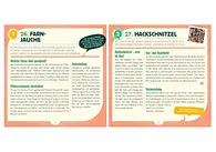 Aus dem Buch, Seite 34-35