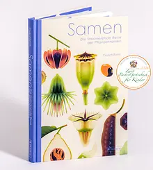 Samen