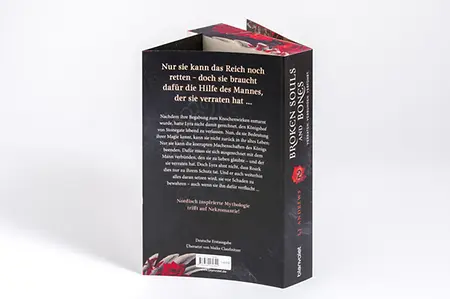 Umschlagstext