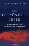 Die entzündete Seele