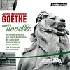 Novelle